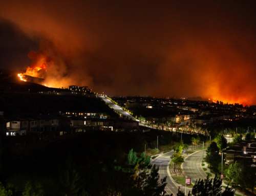 Wildfires, Data Safety, and Pizza